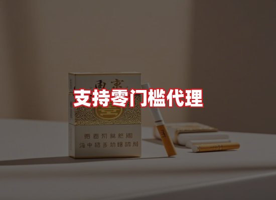 专业团队